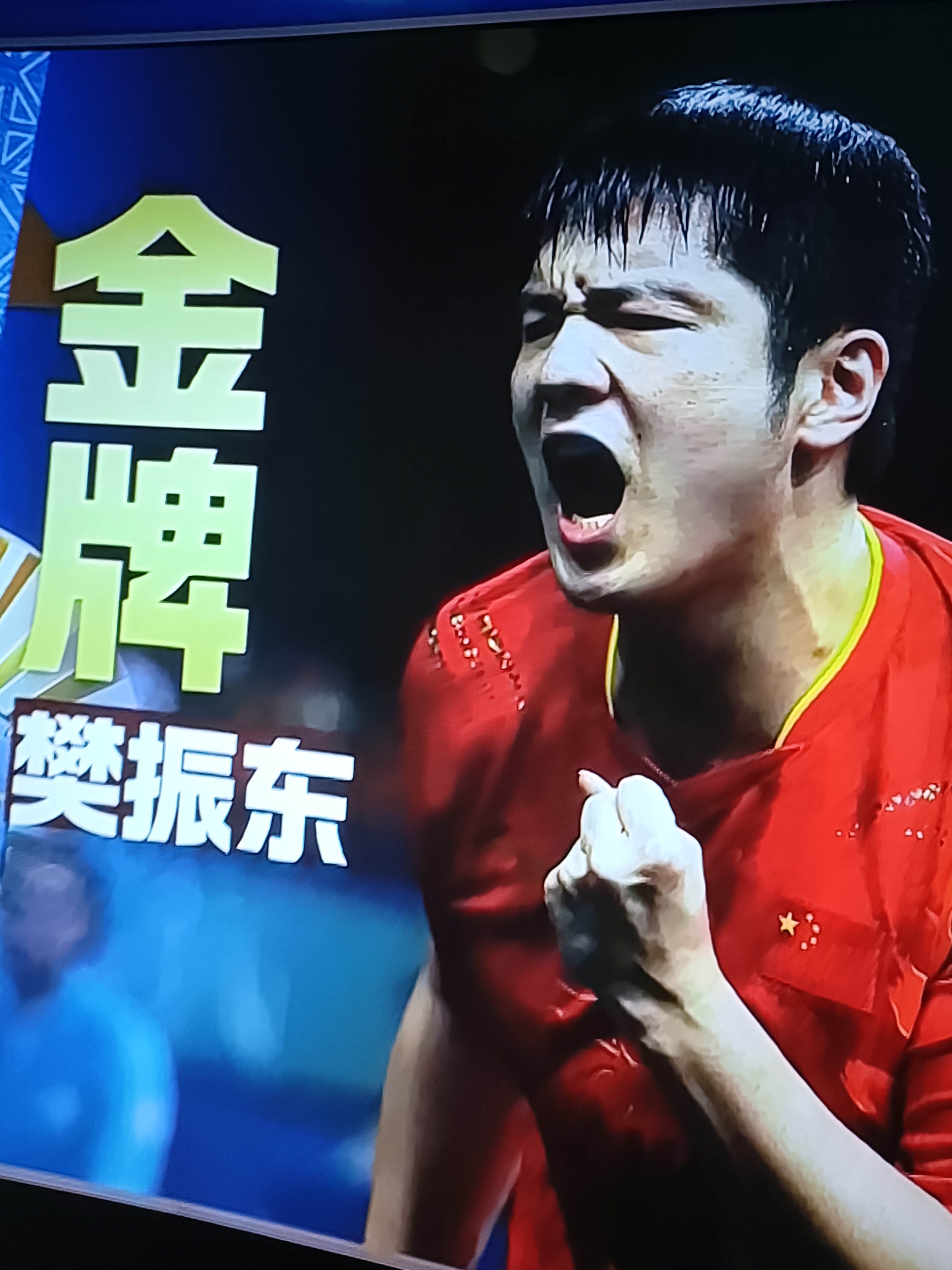 樊振东的CBA吗悬念揭晓(樊振东效力俱乐部回应首战失利)